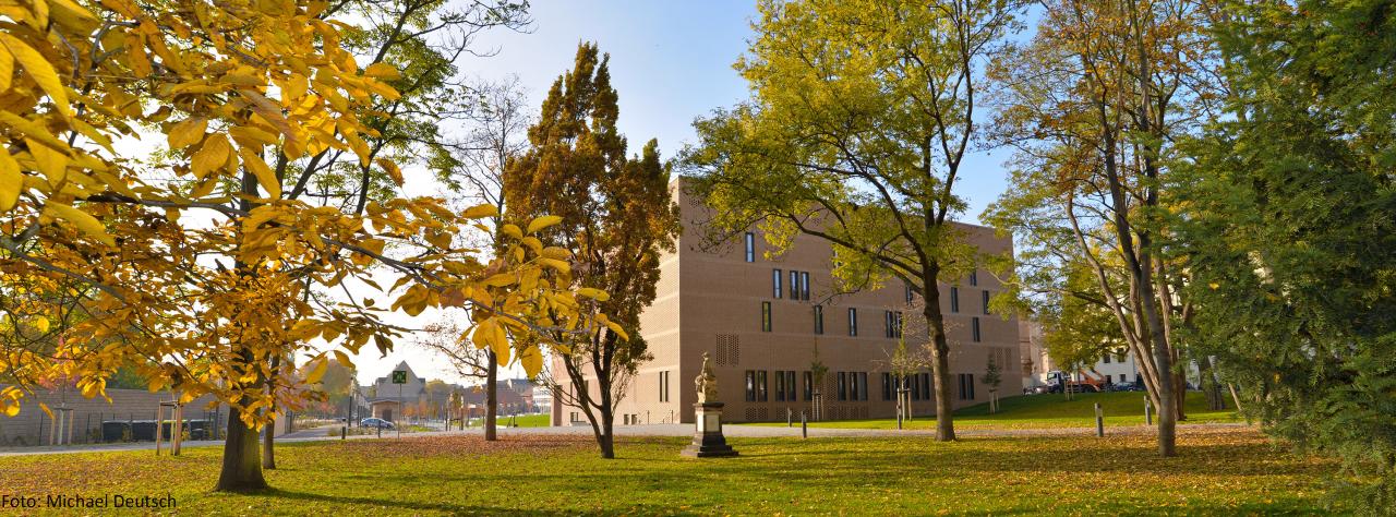 Đại học Martin Luther (Martin Luther Universität Halle Wittenberg)