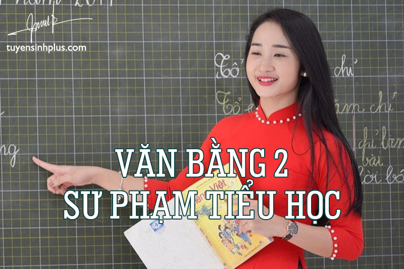 Văn bằng 2 Sư phạm Tiểu học 2021 tại Hà Nội